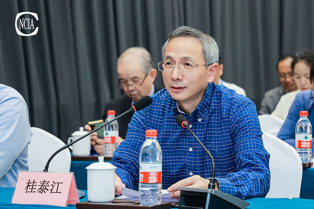中國涂料工業(yè)協(xié)會(huì)技術(shù)專家工作委員會(huì)主任桂泰江